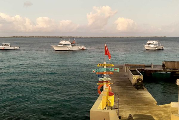 About Traveling with Double Down Divers