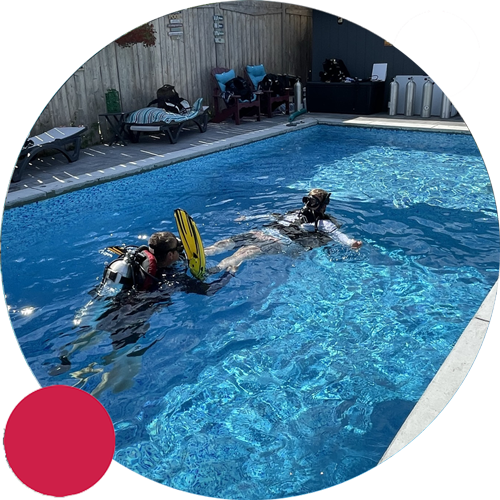 We offer a Re-activate Training course to bring you back up to speed on your skills and get you comfortable underwater again.